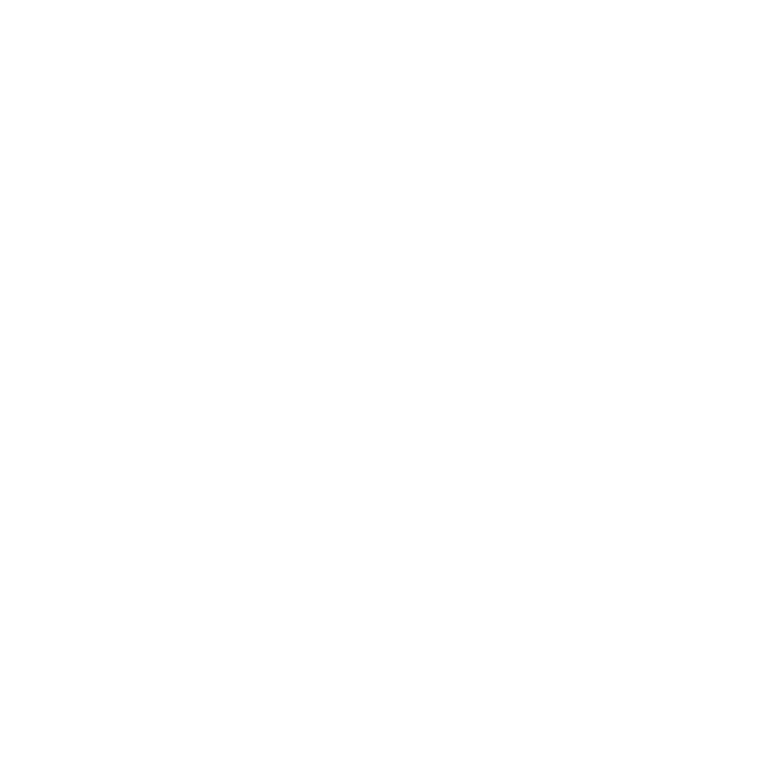 Peky Project Management Logo